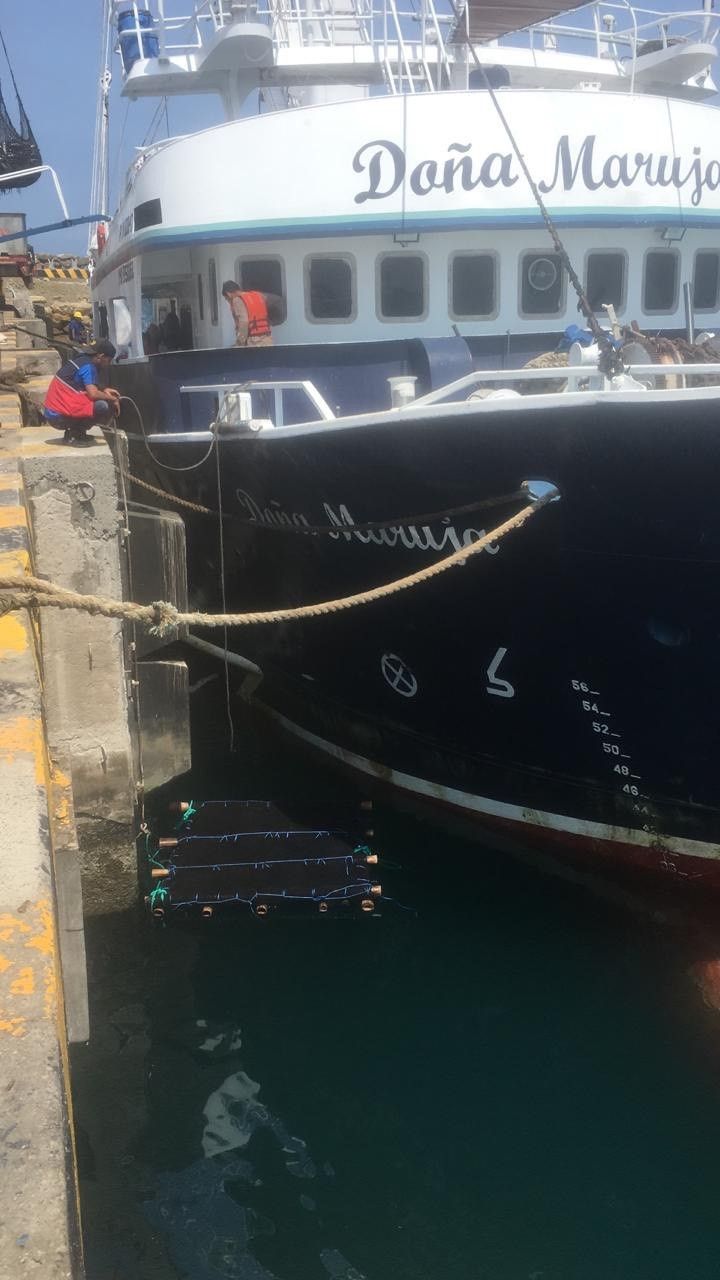 Trabajos de mantenimiento en el casco del buque pesquero Doña Maruja